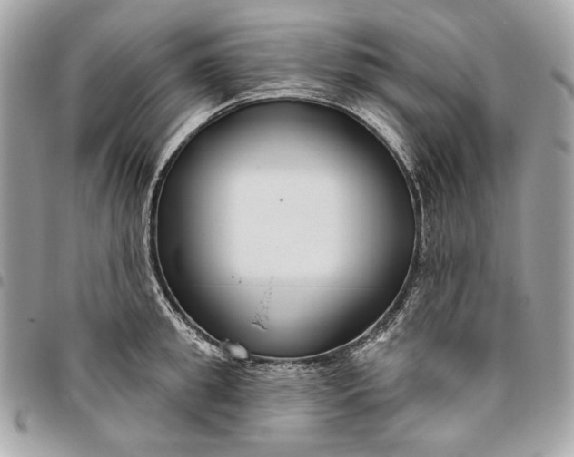 X0000096430949200802071722
