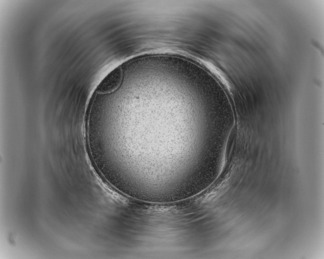X0000096430951200802071722