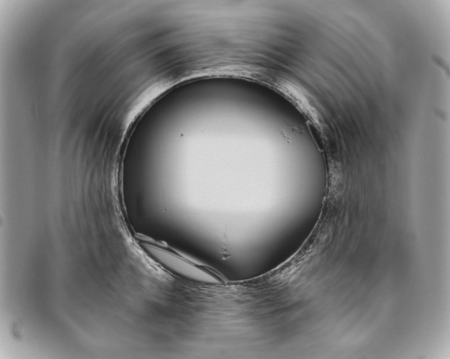 X0000096430952200802071722