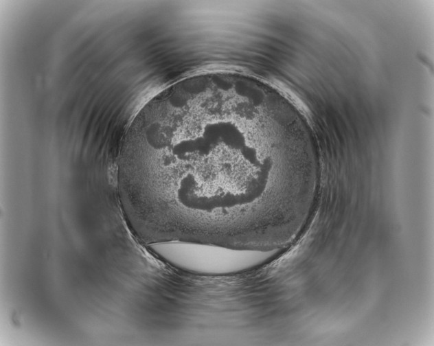 X0000096430953200802071722