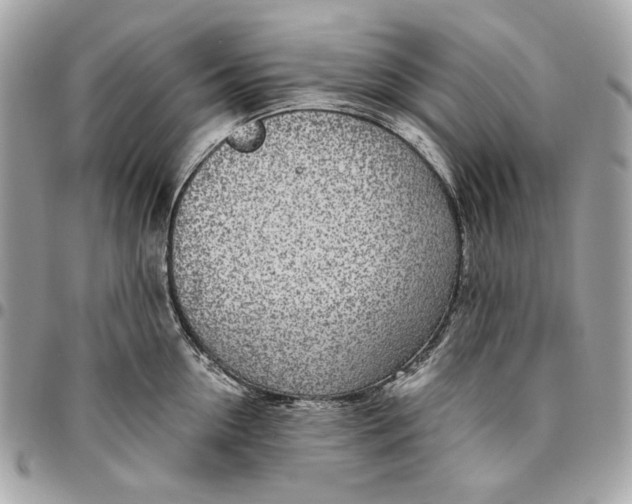 X0000096430954200802071722