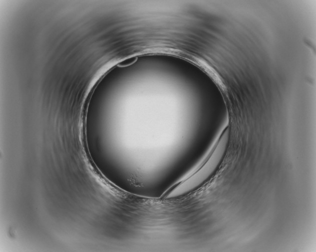 X0000096430955200802071722