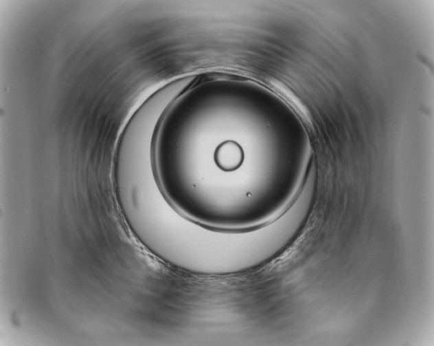 X0000096430956200802071722