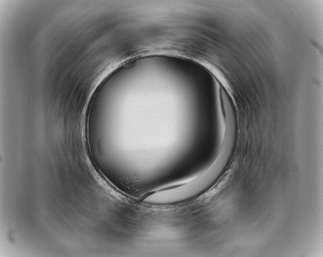 X0000096430957200802071722