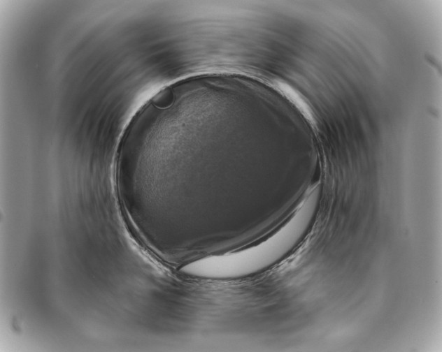 X0000096430958200802071722