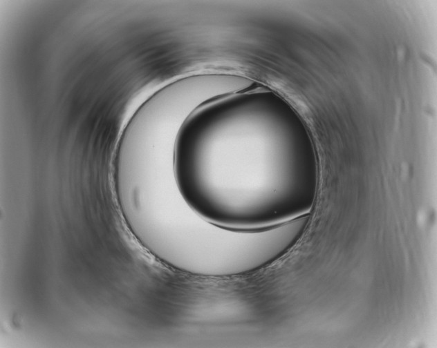 X0000096430960200802071722