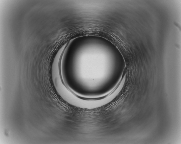 X0000096430961200802071722