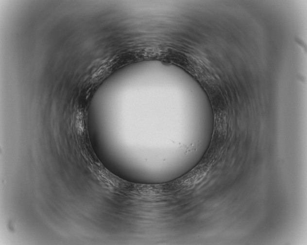 X0000096430962200802071722
