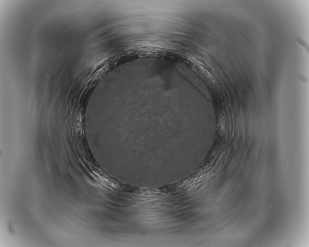 X0000096430964200802071722