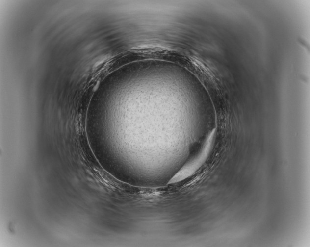 X0000096430965200802071722