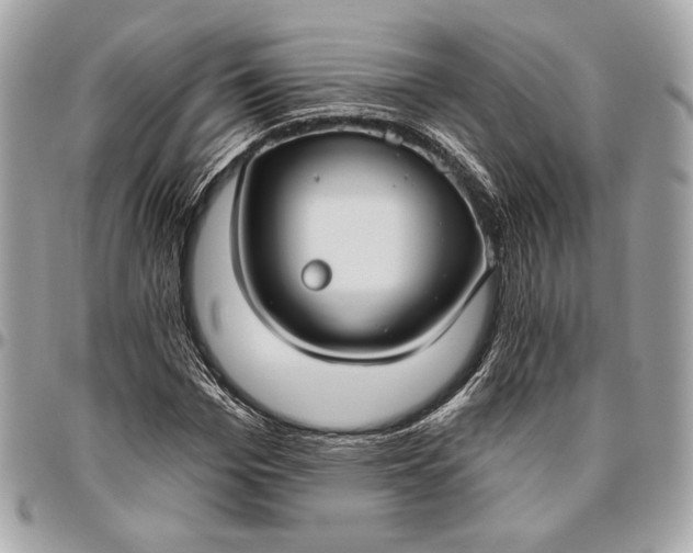 X0000096430969200802071722