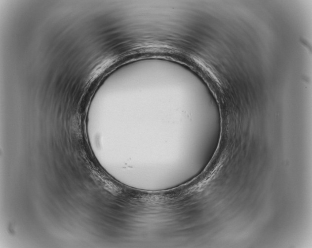 X0000096430970200802071722