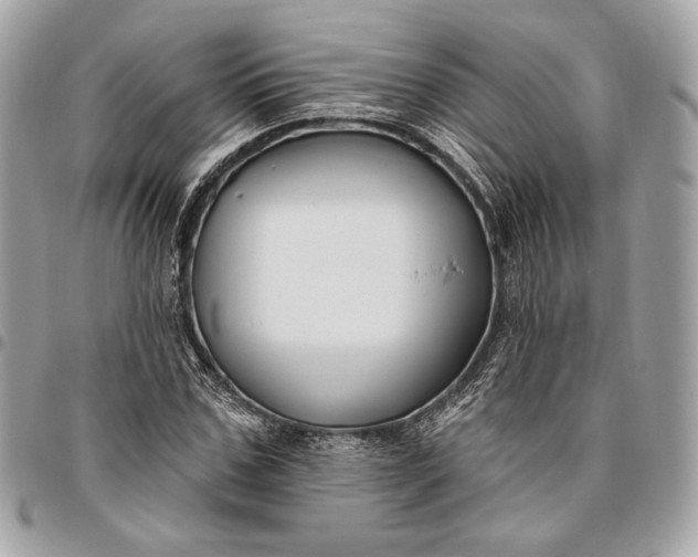 X0000096430971200802071722