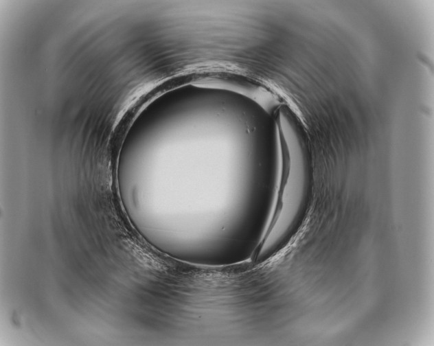 X0000096430973200802071722