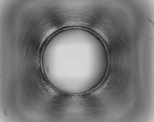 X0000096430974200802071722