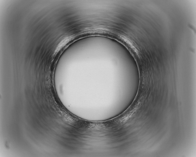 X0000096430978200802071721