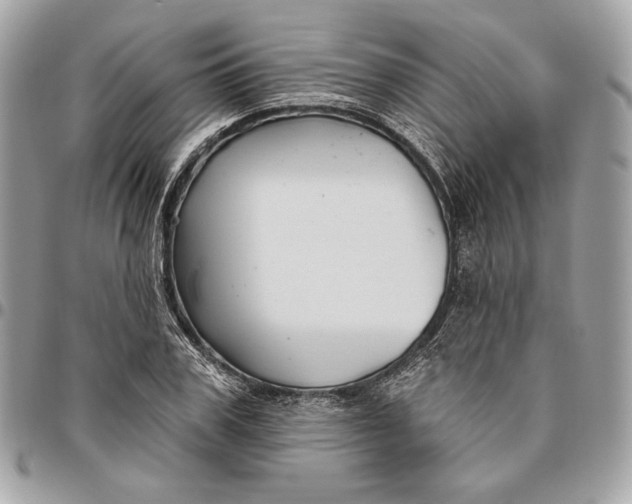 X0000096430979200802071721