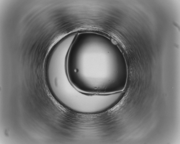 X0000096430981200802071721
