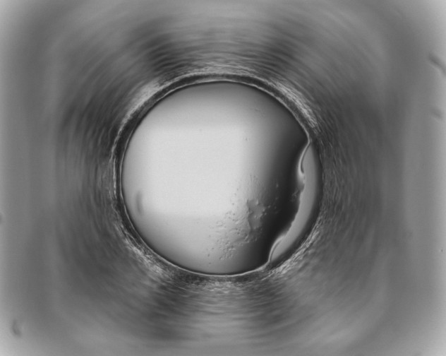 X0000096430982200802071721