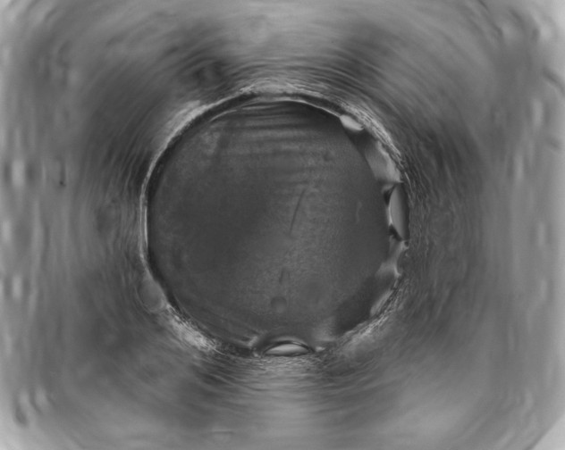 X0000096430984200802071721