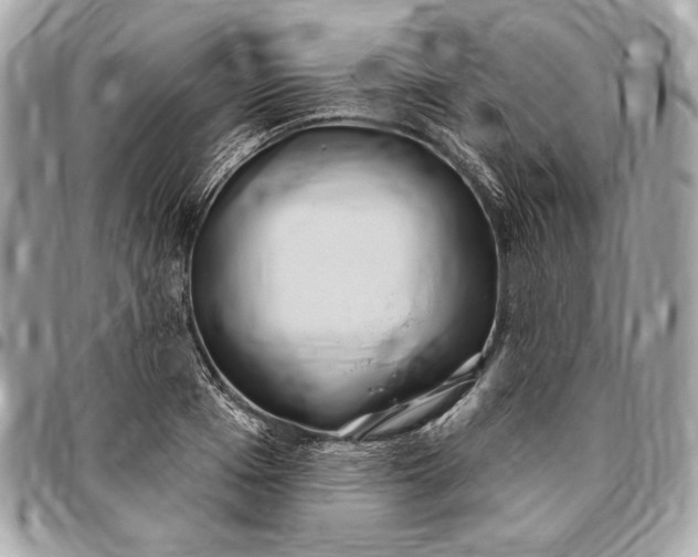 X0000096430985200802071721