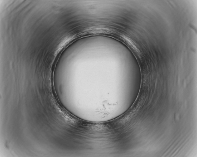 X0000096430986200802071721