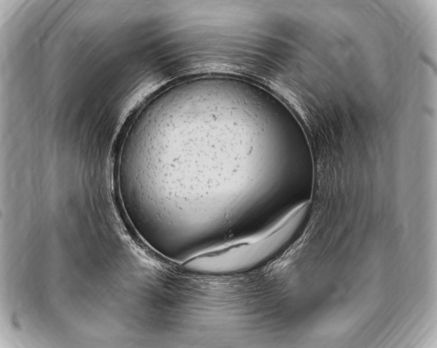 X0000096430987200802071721