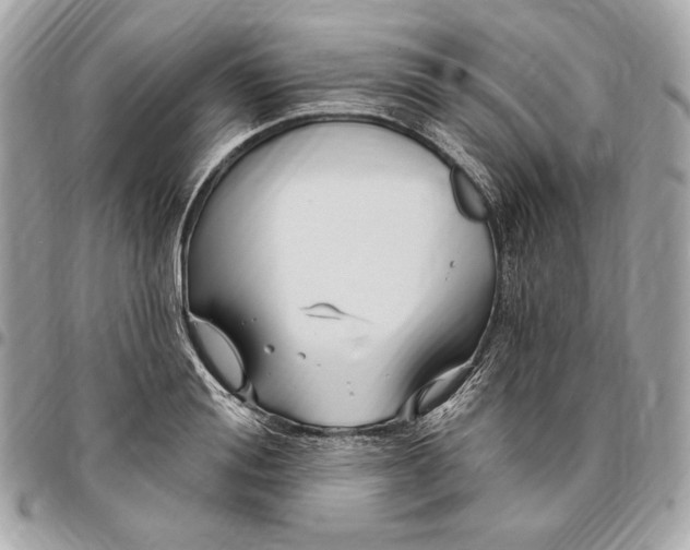 X0000096430988200802071721