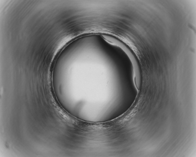 X0000096430990200802071721