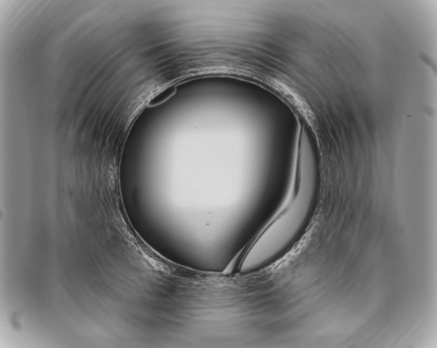 X0000096430993200802071721