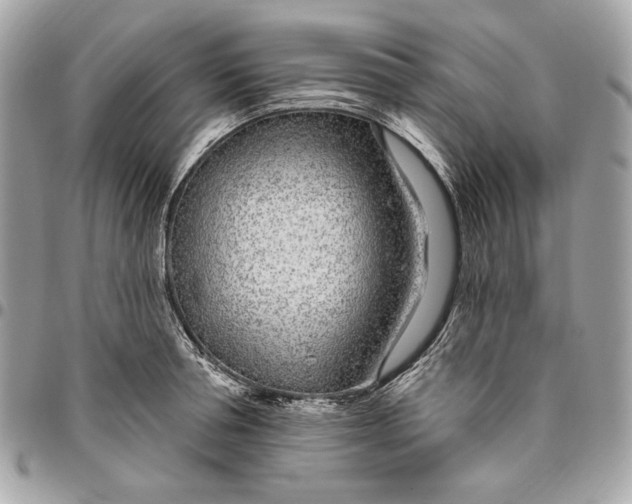 X0000096430994200802071721