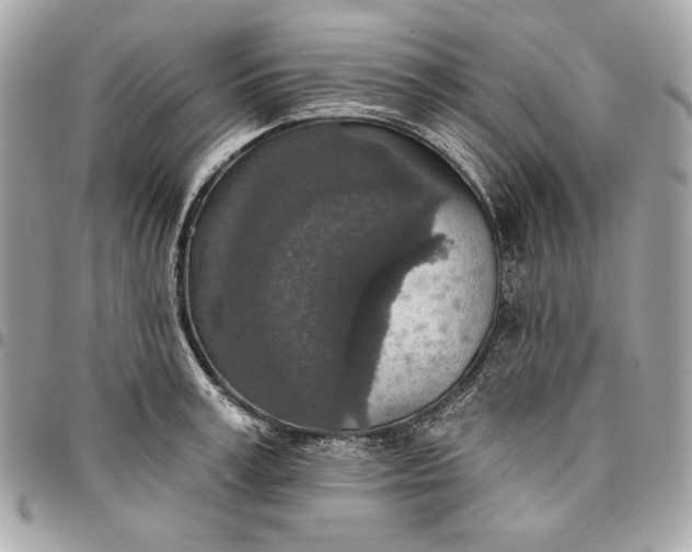 X0000096430995200802071721
