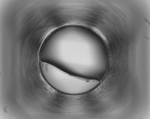 X0000096430996200802071721