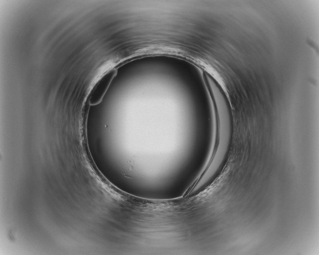 X0000096430997200802071721