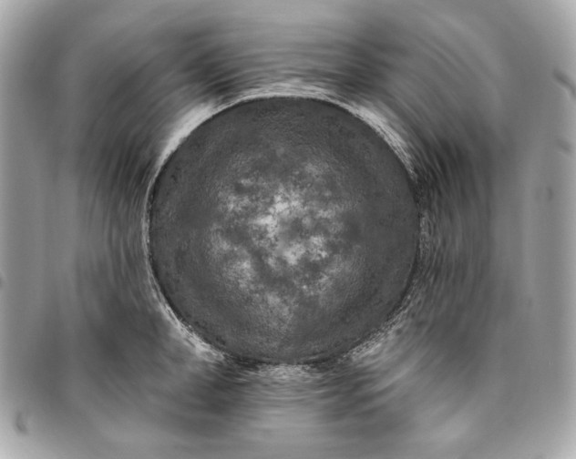X0000096430998200802071721