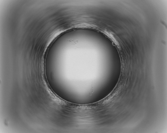 X0000096431000200802071721