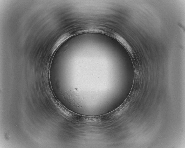 X0000096431002200802071721