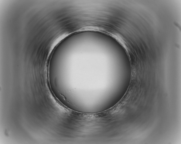 X0000096431003200802071721