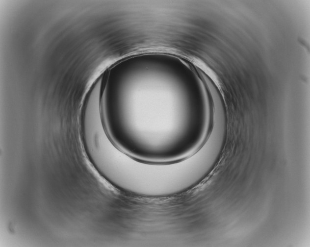 X0000096431005200802071721