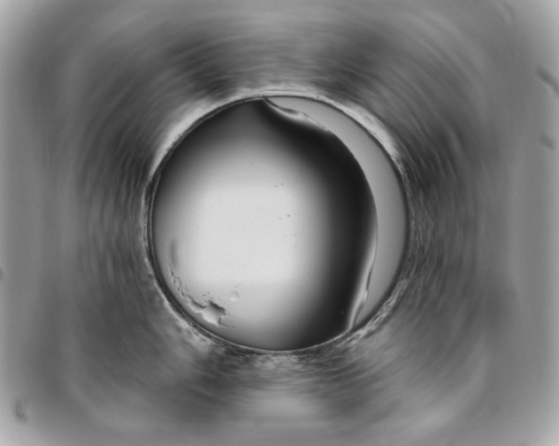 X0000096431006200802071721