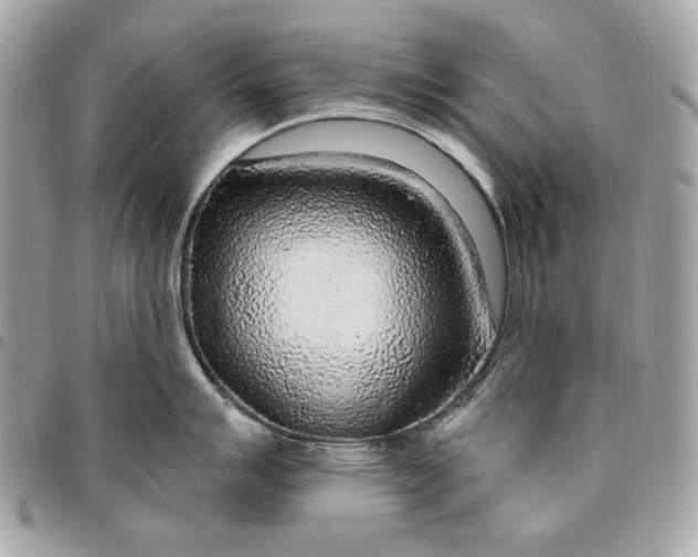 X0000096431007200802071721