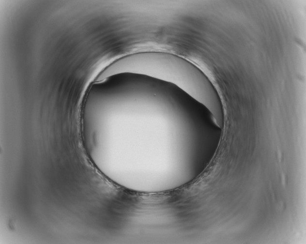X0000096431008200802071721