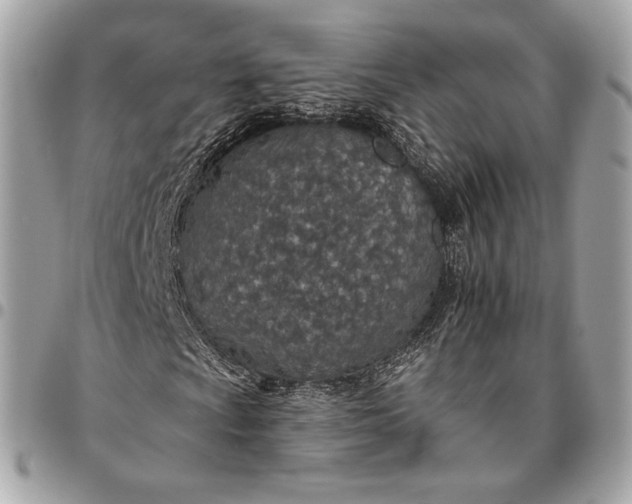 X0000096431009200802071720