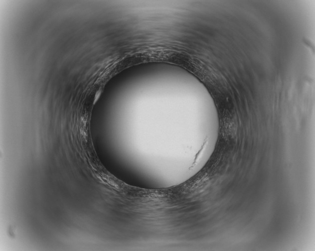 X0000096431010200802071720