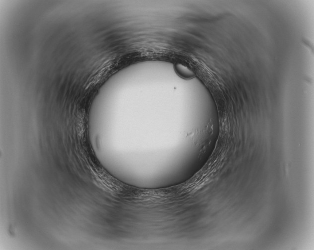 X0000096431012200802071720