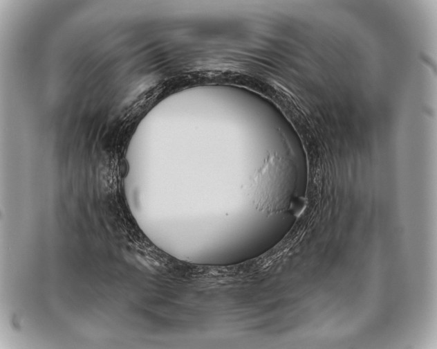 X0000096431014200802071720