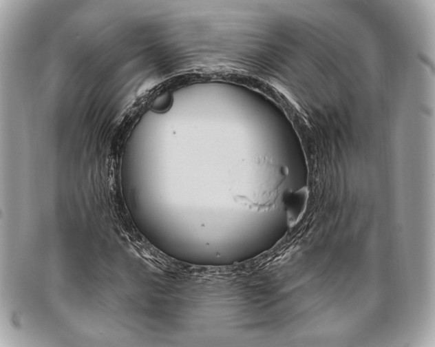 X0000096431016200802071720
