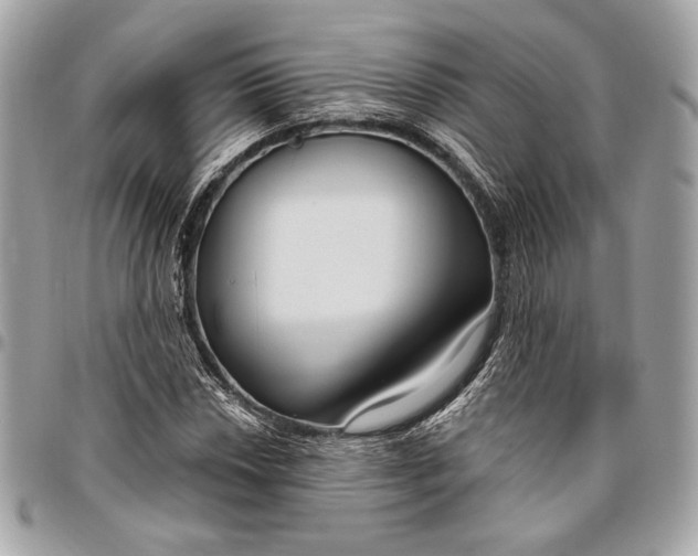 X0000096431018200802071721