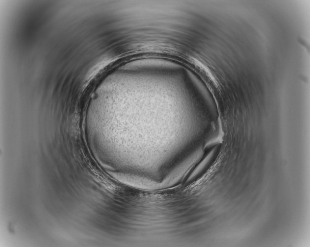X0000096431019200802071721