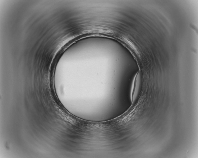 X0000096431020200802071721